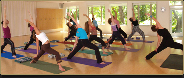 fitness yoga programs 